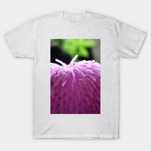 SWEET SOFTNESS T-Shirt